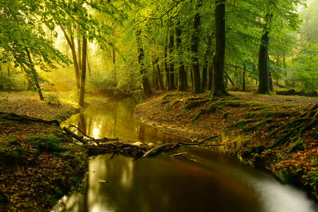 Bootcamp natuur