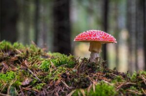 7 praktische tips voor gezonde voeding in het najaar van 2023